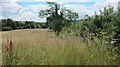 Hay meadow above Blagdon Lake