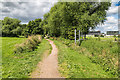 Footpath around the racecourse