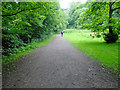 The West Highland Way in Allander Park