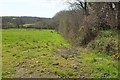 Pasture, Manworthy Mill