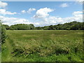 Thelnetham Fen, Thelnetham