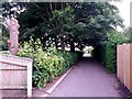 Wallisdown: footpath U16 passes trees in a back garden