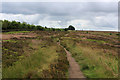 Footpath on Brow Moor looking South West