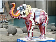 SK3586 : Herd of Sheffield: Elephant Inside Out by Graham Hogg