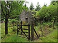 Remains of Castle Drake in Glasfynydd Forest