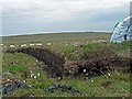 NB3249 : Peat cutting, Gleann Èirearaigh, Isle of Lewis by Claire Pegrum