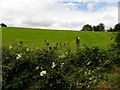 Faccary Townland