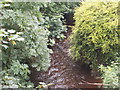 Trawden Beck - viewed from Bottoms Bridge