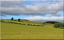 NT5838 : Fields on White Hill by Alan Reid