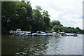 View of boats moored up at Eel Pie Island from The Embankment