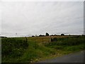 Field gate beside Droverhouse Lane