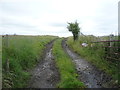 Farm track (footpath) off Mellor Lane