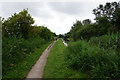 Erewash Canal near Cotmanhay