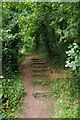 Steps on the Riverside Path