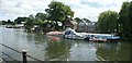 View of boats moored up at and houses on Eel Pie Island from The Embankment