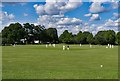 Cricket match, Springfield Park, Clapton