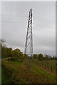 Pylon in an orchard