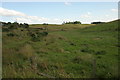 Farmland near Muirshiel Bridge