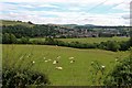 Pastoral land west of Earlston