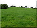 A grassy hill, Tatnadaveny