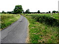 Corboe Road, Tatnadaveny / Lislea