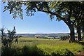 Cheviot view from Huntshaw Hill