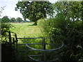 Footpath from Mill Lane