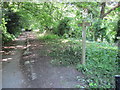 South Downs Way continuing from Petersfield Road