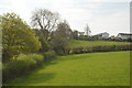 Field on the edge of Tywardreath