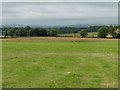 Fields near Orway Cross