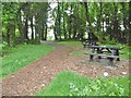 Lower Sketty, picnic site