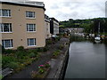 River Dart in Totnes, looking south