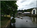 River Dart from the Totnes quayside, looking south