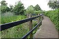 Causeway by a suburban pond