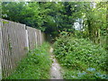 London Countryway in Kent (56)