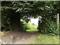 Footpath to Mill Lane