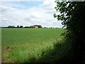 Farmland, Gopsall