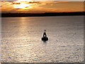 SU4902 : Green Marker Buoy in Southampton Water by David Dixon