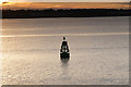 SU4903 : Green Marker Buoy in Southampton Water by David Dixon