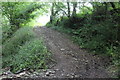 Track in Cwm Crach, Argoed-uchaf