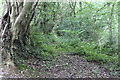 Footpath, Cwm Crach