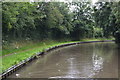 Coventry Canal east of Bedworth