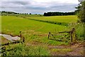 Arable fields at Redpath