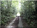 Sunken lane, Satley