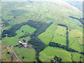 Pasture and shelter belts at Craigbarnet