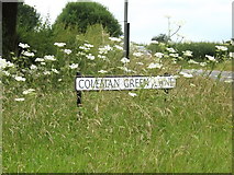 TL1913 : Coleman Green Lane sign by Geographer