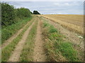 Track East near Annetts Farm