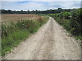 Track towards Newton Valence