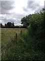 Alongside Ravensden Brook