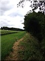 Alongside Ravensden Brook